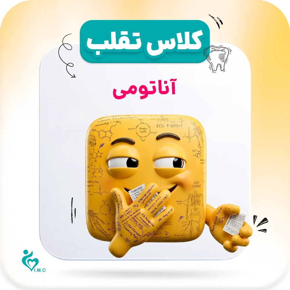پیش انتشار نسل سوم _ تقلب🤭 آناتومی 2 ( نوروآناتومی )